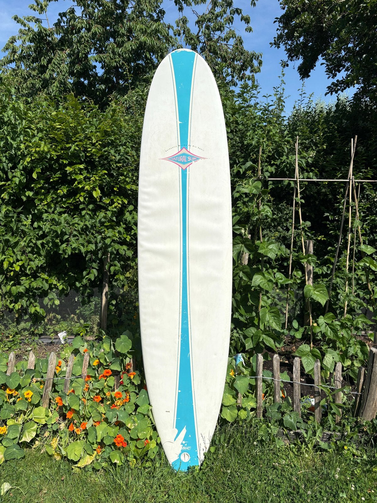 BIC Longboard Surfplank 7,8f 240cm, Watersport en Boten, Golfsurfen, Ophalen, Gebruikt, Longboard, Met vinnen