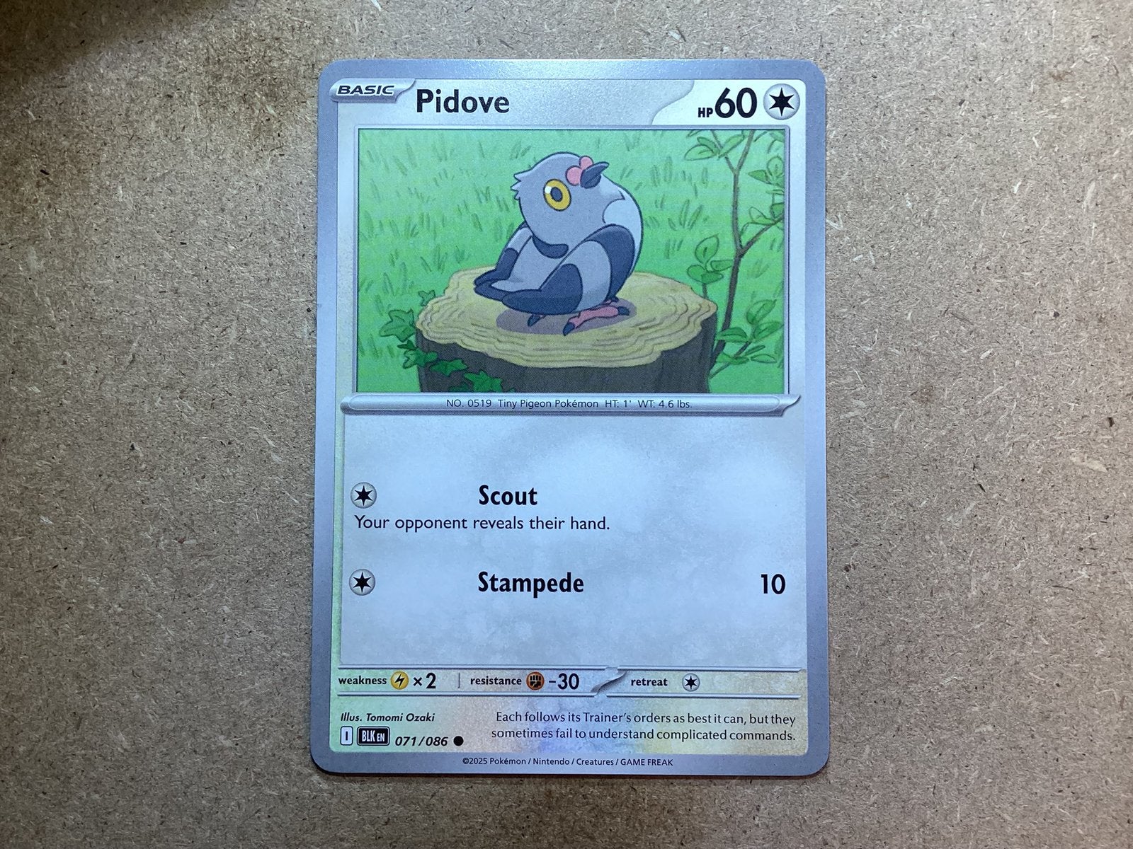 1x Pidove [BLK 071/086] (Near Mint), Ophalen of Verzenden, Zo goed als nieuw, Losse kaart