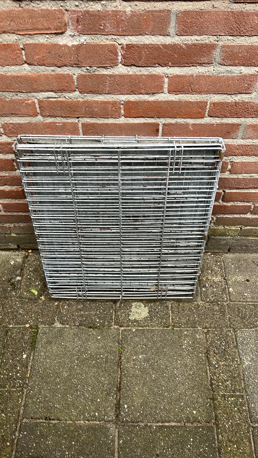 Benche, Dieren en Toebehoren, Ophalen of Verzenden