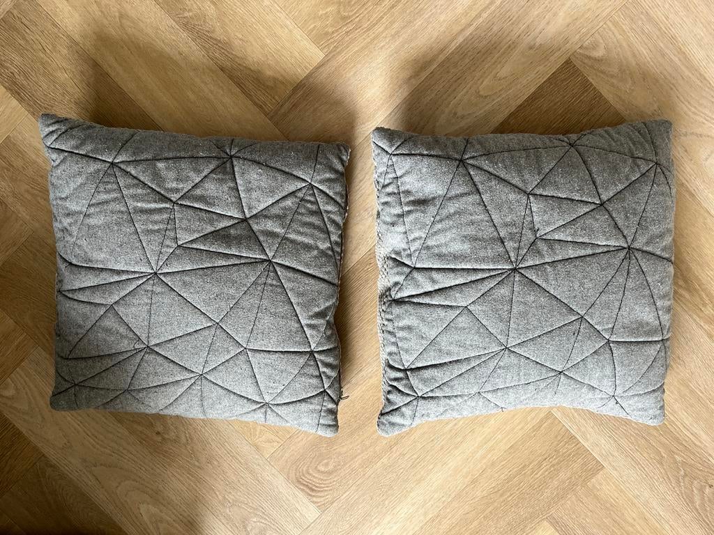 2x Sierkussen Grijs - Dubbelzijdig te gebruiken, Huis en Inrichting, Woonaccessoires | Kussens, Ophalen, Gebruikt, Grijs, Vierkant