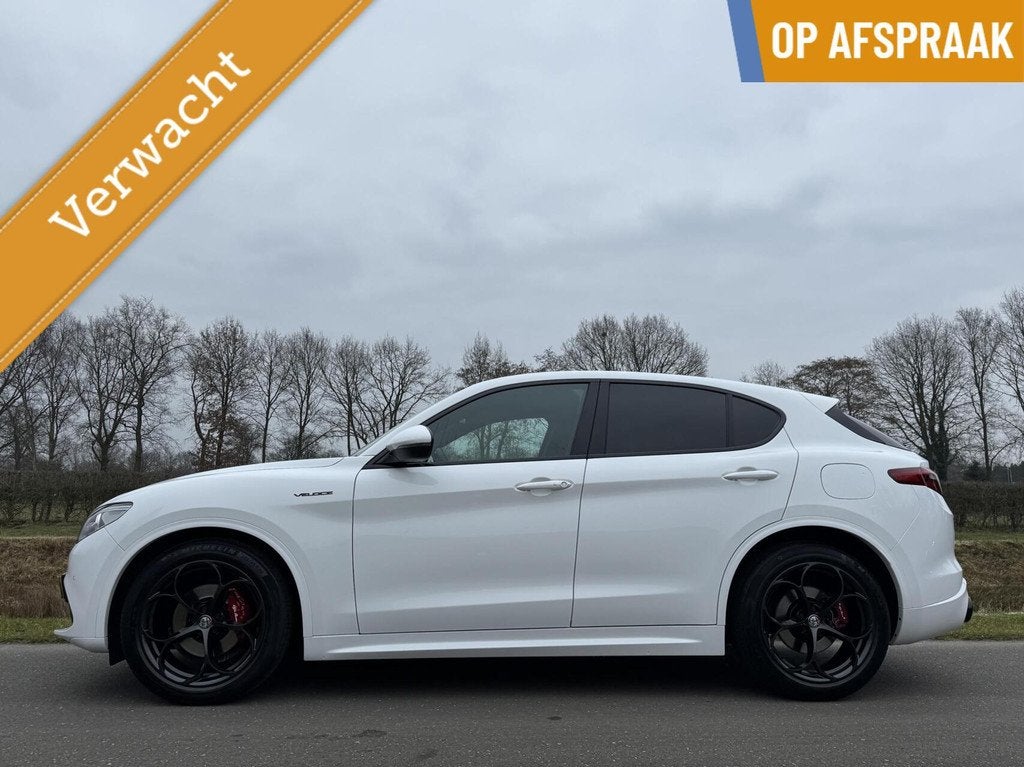 Alfa Romeo Stelvio 2.0t Q4 Veloce 280pk, Avanti Style! 20inc, Automaat, 4 cilinders, Wit, Bedrijf