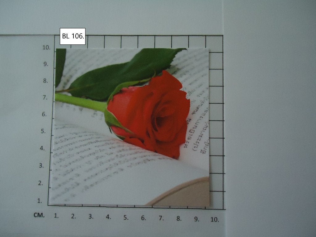 ❤️❤️parelmoer kaartjes 19 soorten  ( alleen verzenden, Ophalen, Nieuw, Overige thema's, Knipvel