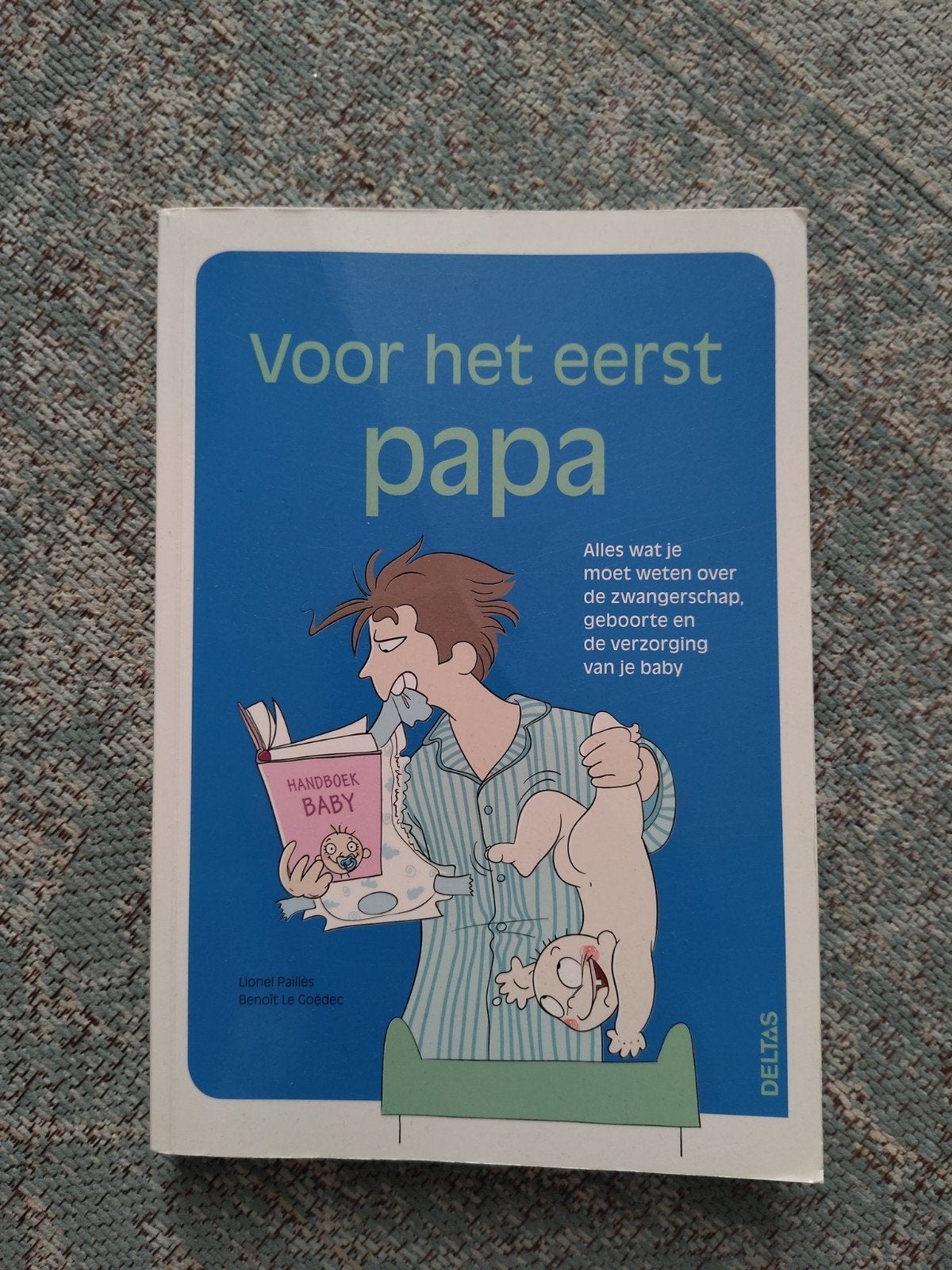 Boek Voor het eerst papa, Boeken, Ophalen of Verzenden, Zo goed als nieuw, Zwangerschap en Bevalling
