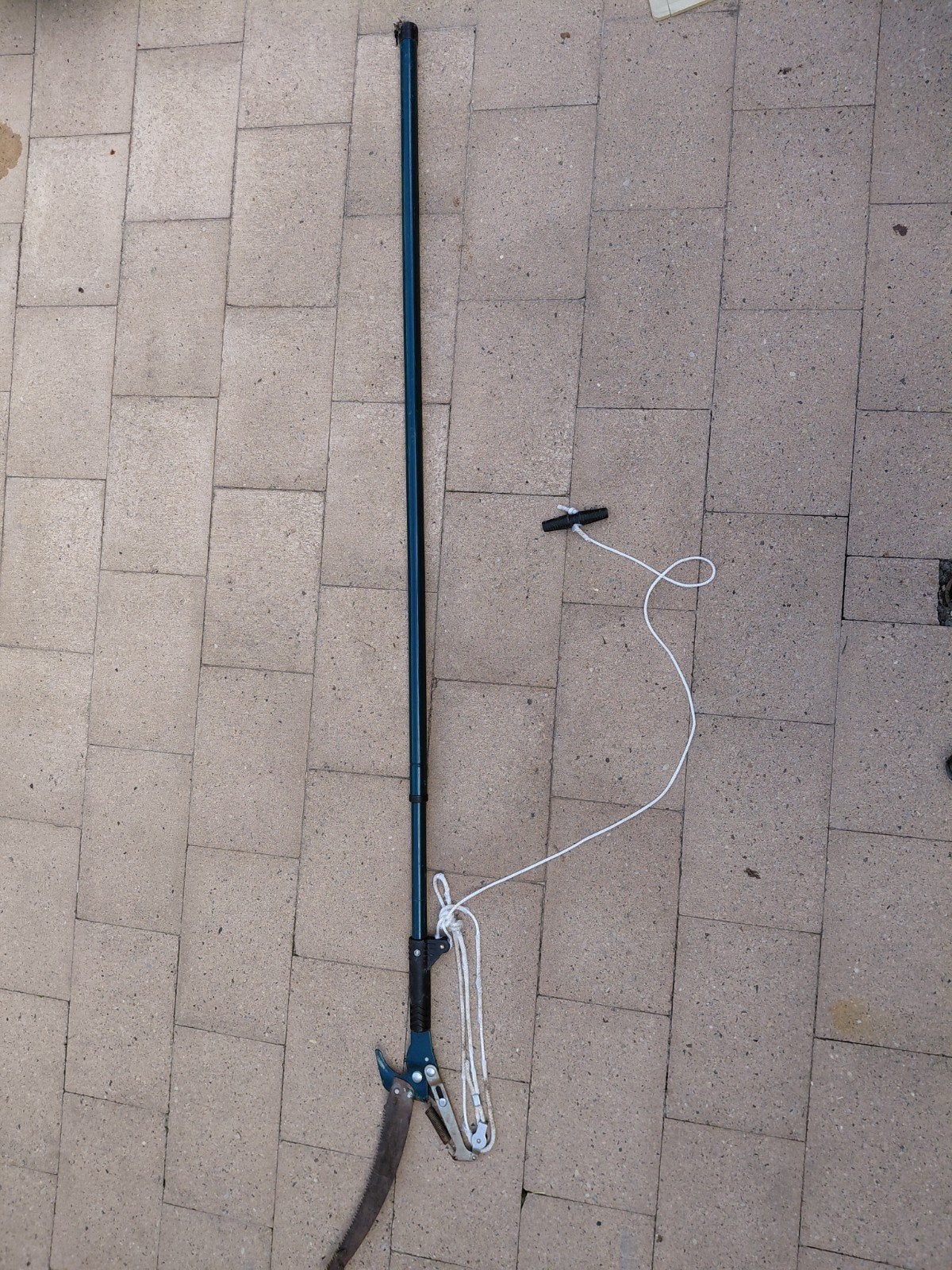 Telescopische Boomschaar met Zaag voor Hoge Takken, Ophalen of Verzenden