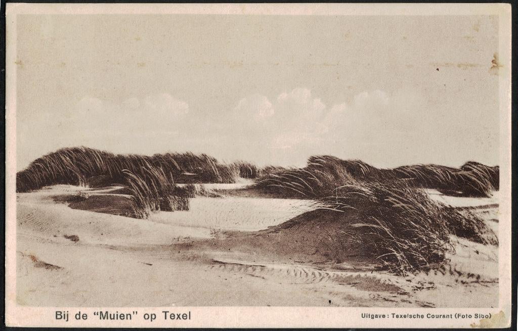 Texel, Bij de Muien. 1930., Ophalen of Verzenden, 1920 tot 1940, Gelopen, Waddeneilanden