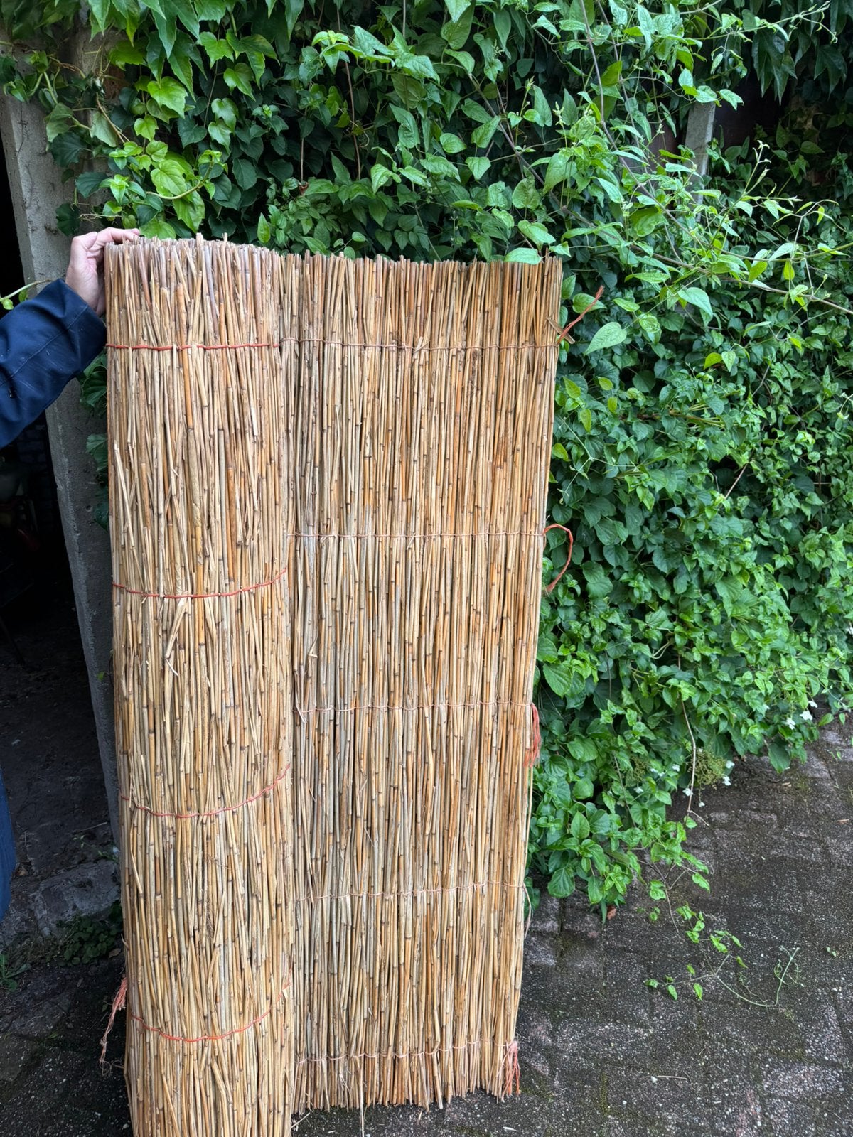 Zware kwalitatieve rietmatten 160 cm hoog x 250 cm breed, Ophalen, Overige materialen, Zo goed als nieuw, 200 cm of meer