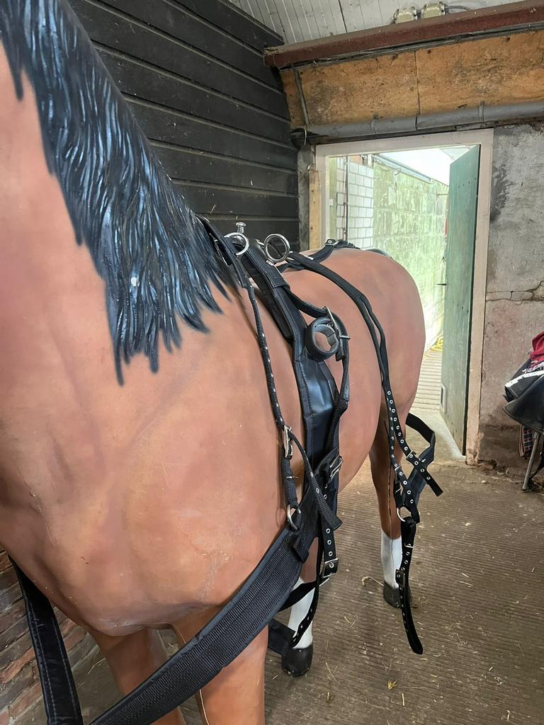 Nieuw nylon enkelspan tuig maat full en mini shet, Dieren en Toebehoren, Paarden en Pony's | Hoofdstellen en Tuigage, Ophalen of Verzenden