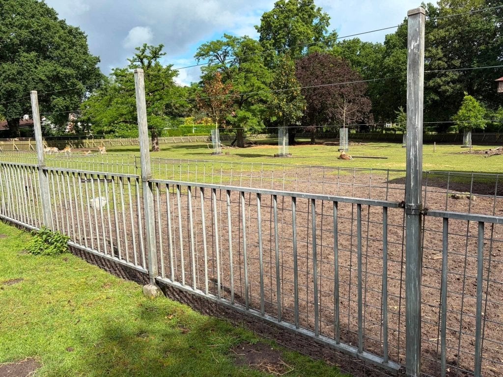 meerdere ijzeren hekken, Tuin en Terras, Tuinhekken en Hekwerk, Ophalen, Gebruikt, IJzer, Overige typen