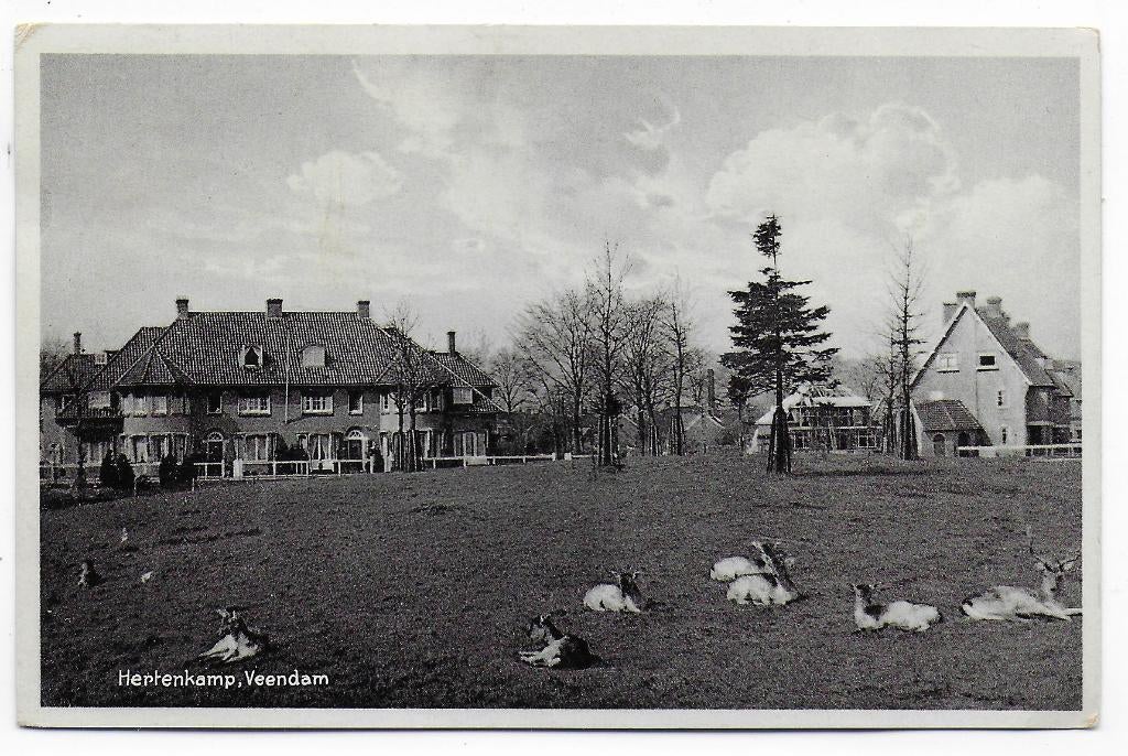 Veendam Hertenkamp Ansichtkaart uit 1932 ( B7434 ), Verzamelen, Ansichtkaarten | Nederland, Ophalen of Verzenden, 1920 tot 1940