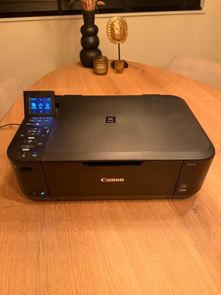 Canon PIXMA MG4250 printer, Computers en Software, Printers, Kleur printen, Gebruikt, Canon, Inkjetprinter