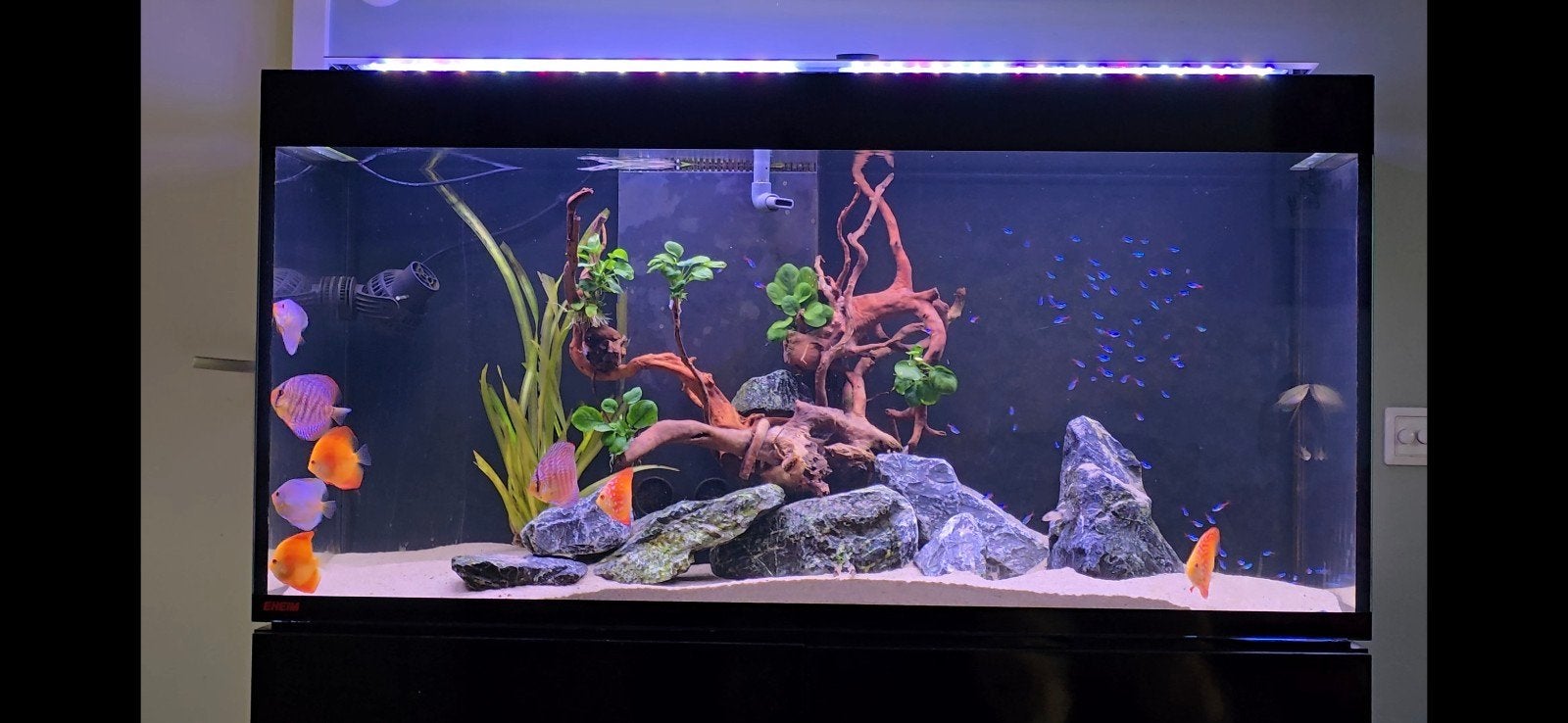 eheim inspiria 440L incl discussen., Dieren en Toebehoren, Vissen | Aquaria en Toebehoren, Ophalen