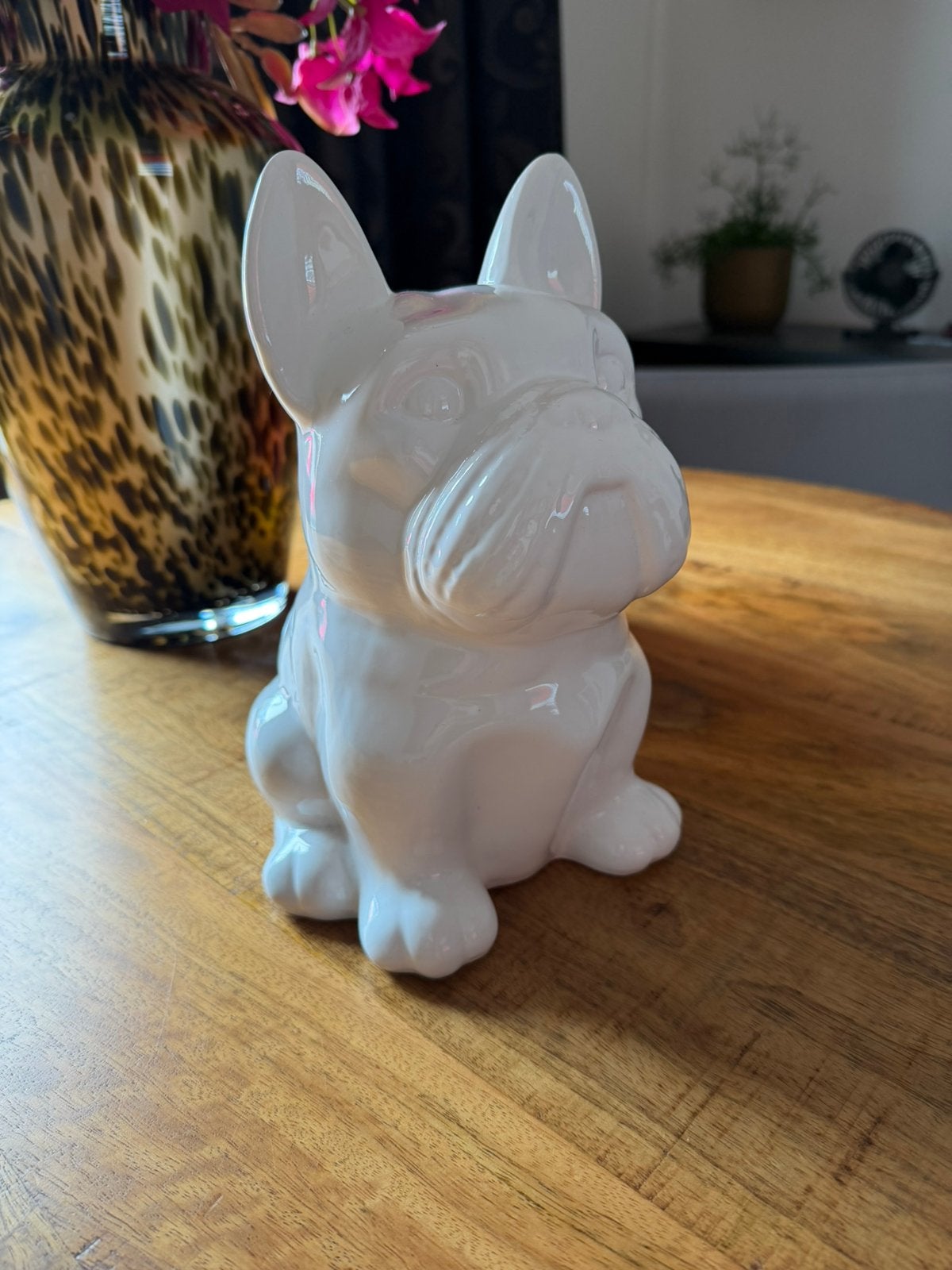 Mooie grote franse bulldog spaarpot, Ophalen, Zo goed als nieuw, Dier