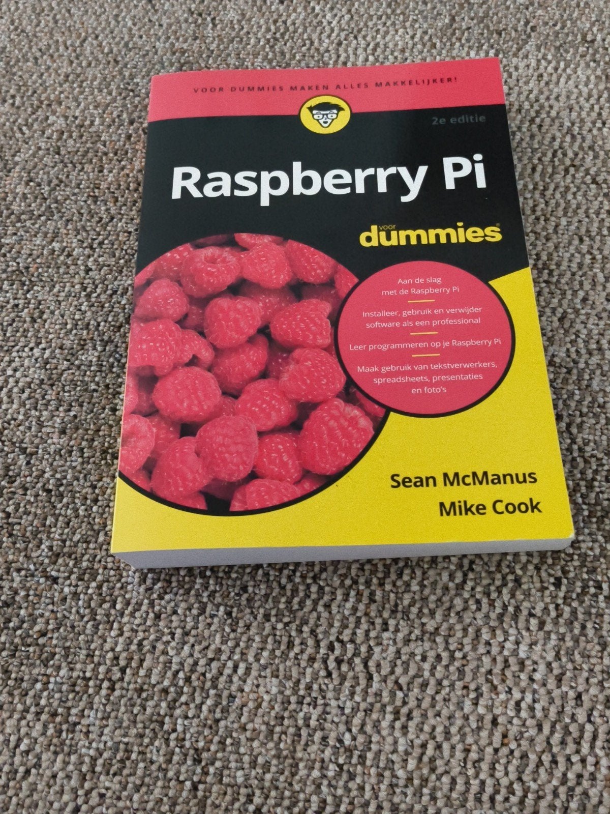 Raspberry Pi voor Dummies - 2e editie, Boeken, Verzenden, Zo goed als nieuw