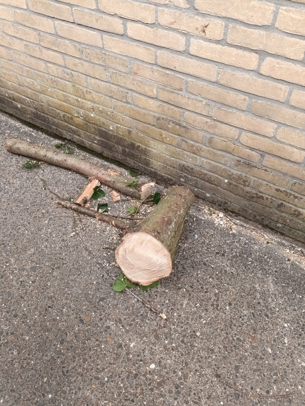 GRATIS haardhout/hout/hakblok zo spoedig mogelijk ophalen., Tuin en Terras, Minder dan 3 m³, Ophalen