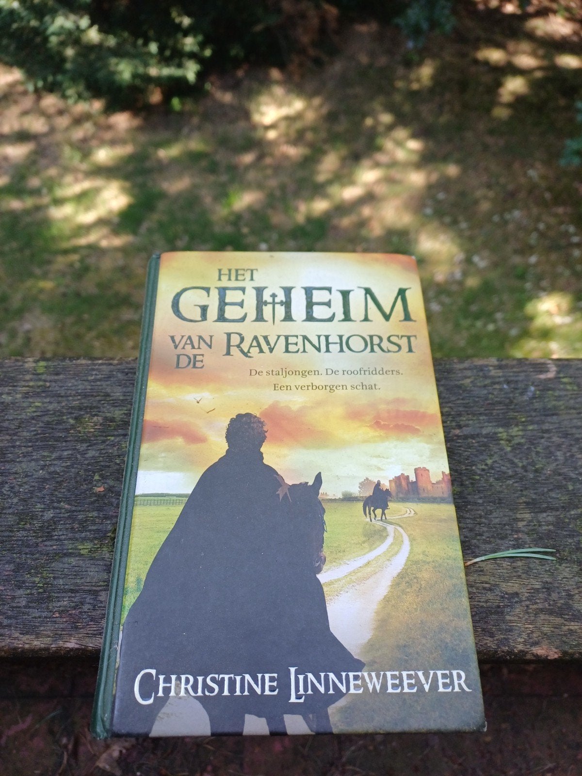 Het Geheim van Ravenhorst - Christine Linneweever, Boeken, Ophalen of Verzenden