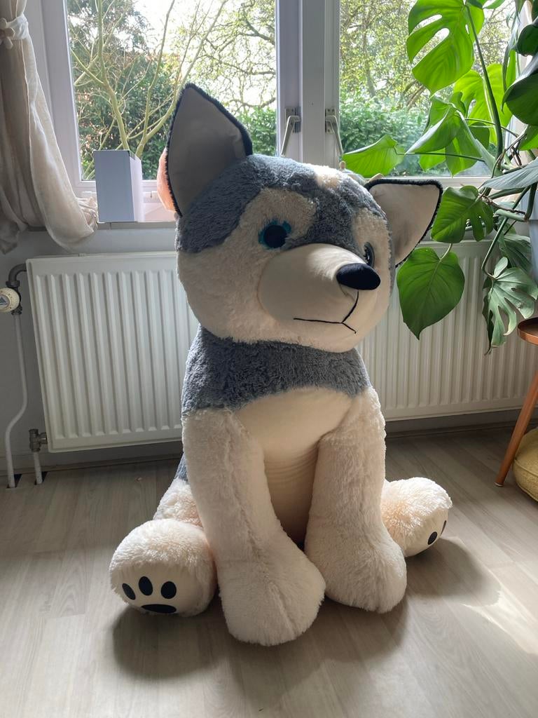 Grote knuffel husky, Ophalen, Gebruikt, Grijs, Hond