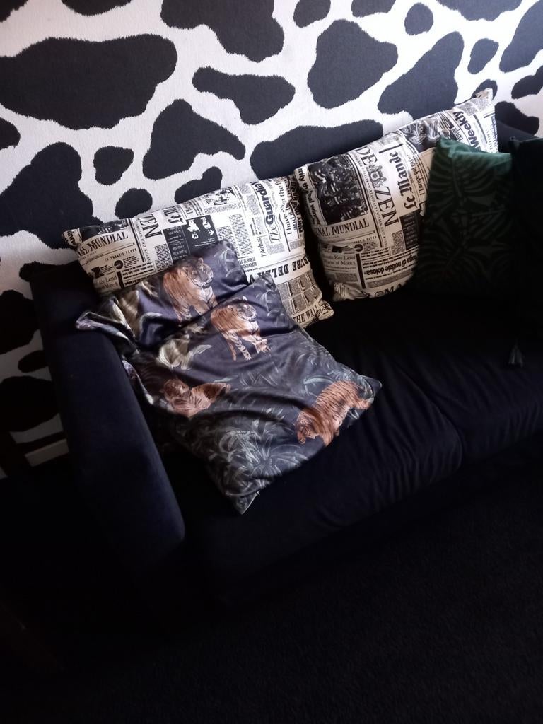 Zwarte bedbank, Ophalen, Rechthoekig, 100 tot 125 cm, 100 tot 125 cm