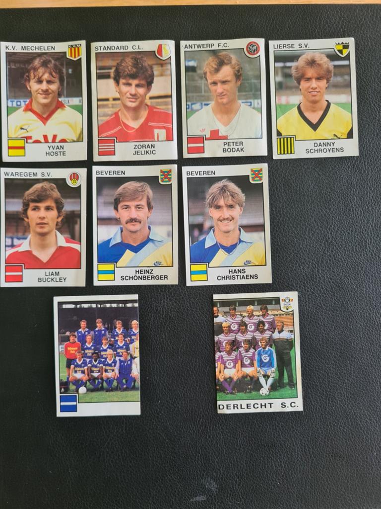 Panini stickers, Hobby en Vrije tijd, Stickers en Plaatjes, Ophalen, Meerdere stickers