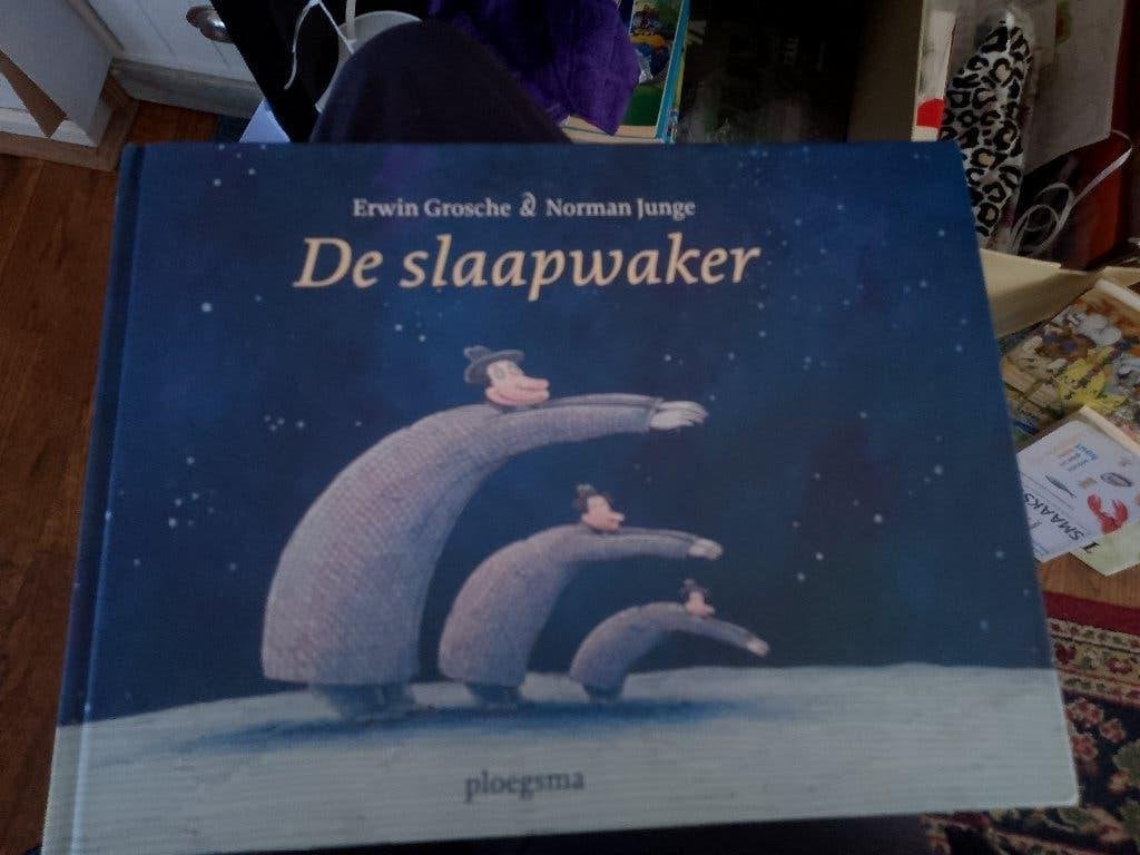 boek de slaapwaker   grosche junge, Ophalen of Verzenden, Fictie algemeen
