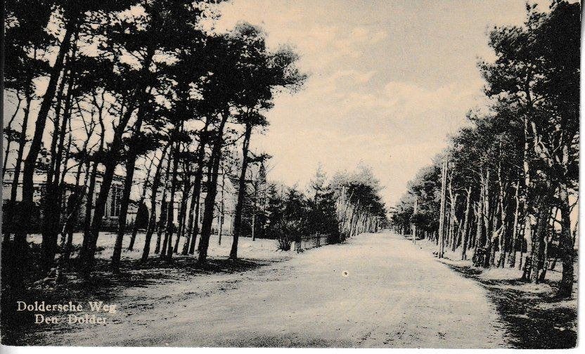DEN DOLDER - DOLDERSCHE WEG, Ophalen of Verzenden, Voor 1920, Ongelopen, Utrecht