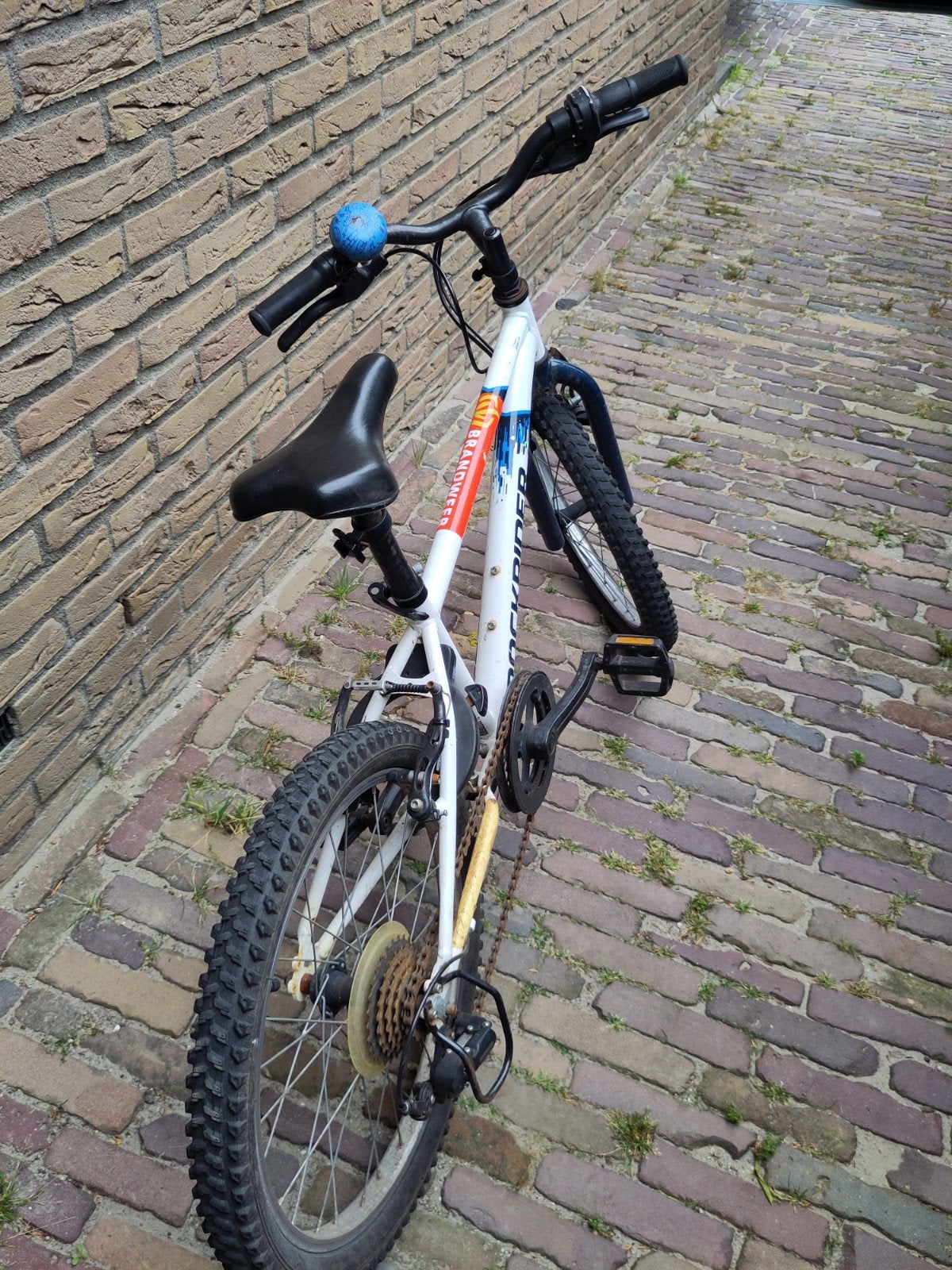 Rockrider kinderfiets met 6 versnellingen, Ophalen of Verzenden, Gebruikt, 20 inch of meer
