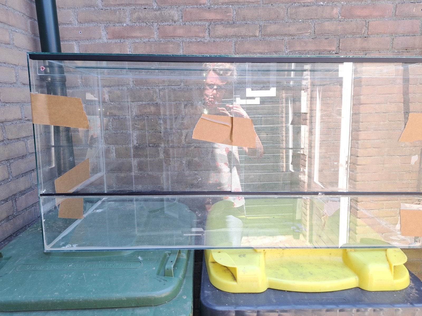 terrarium hamster, Kooi, Minder dan 75 cm, Hamster, Ophalen