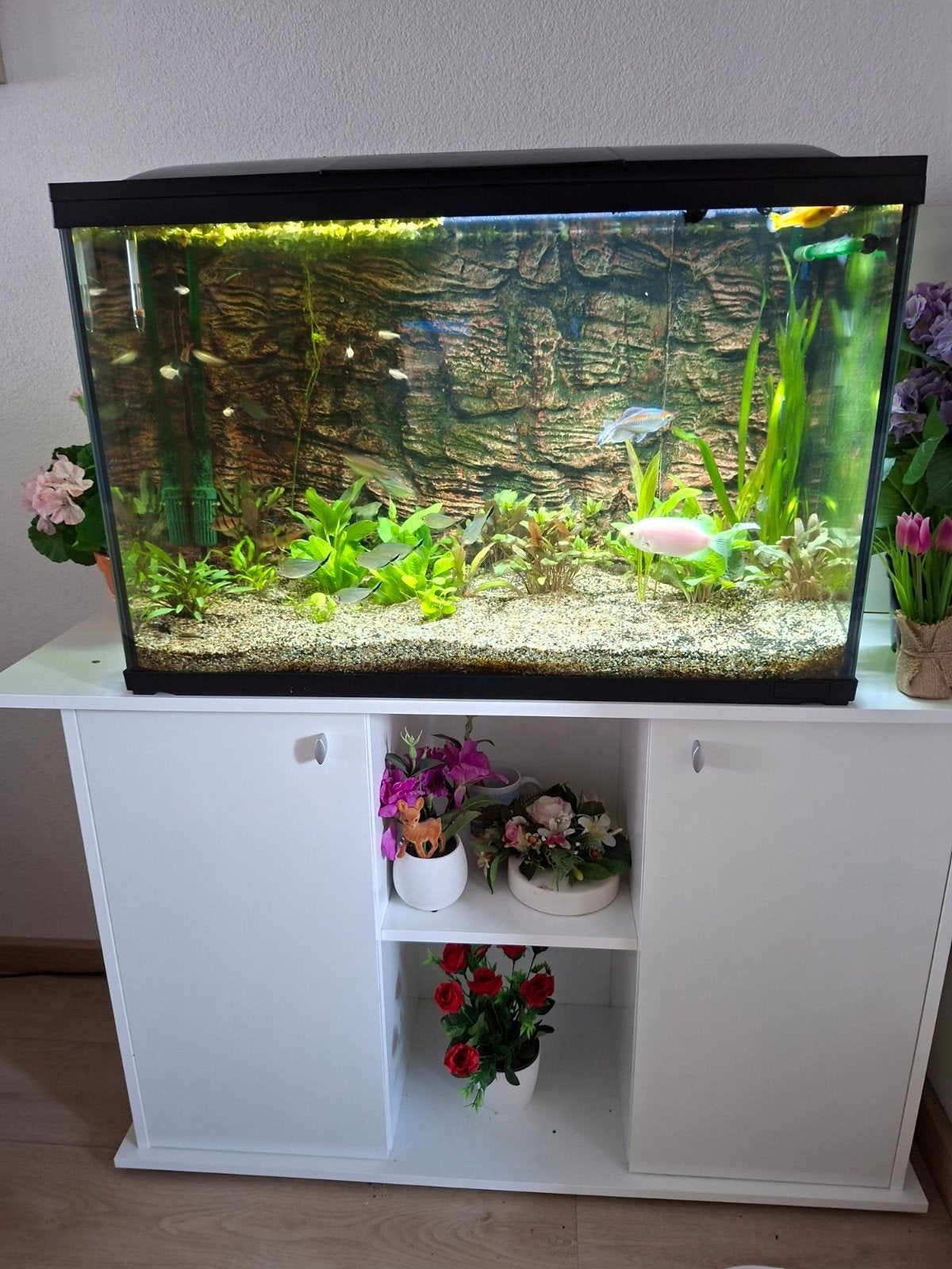 te koop aquarium met vissen en buitenfilter.pomp en kast, Ophalen, Zo goed als nieuw, Gevuld zoetwateraquarium
