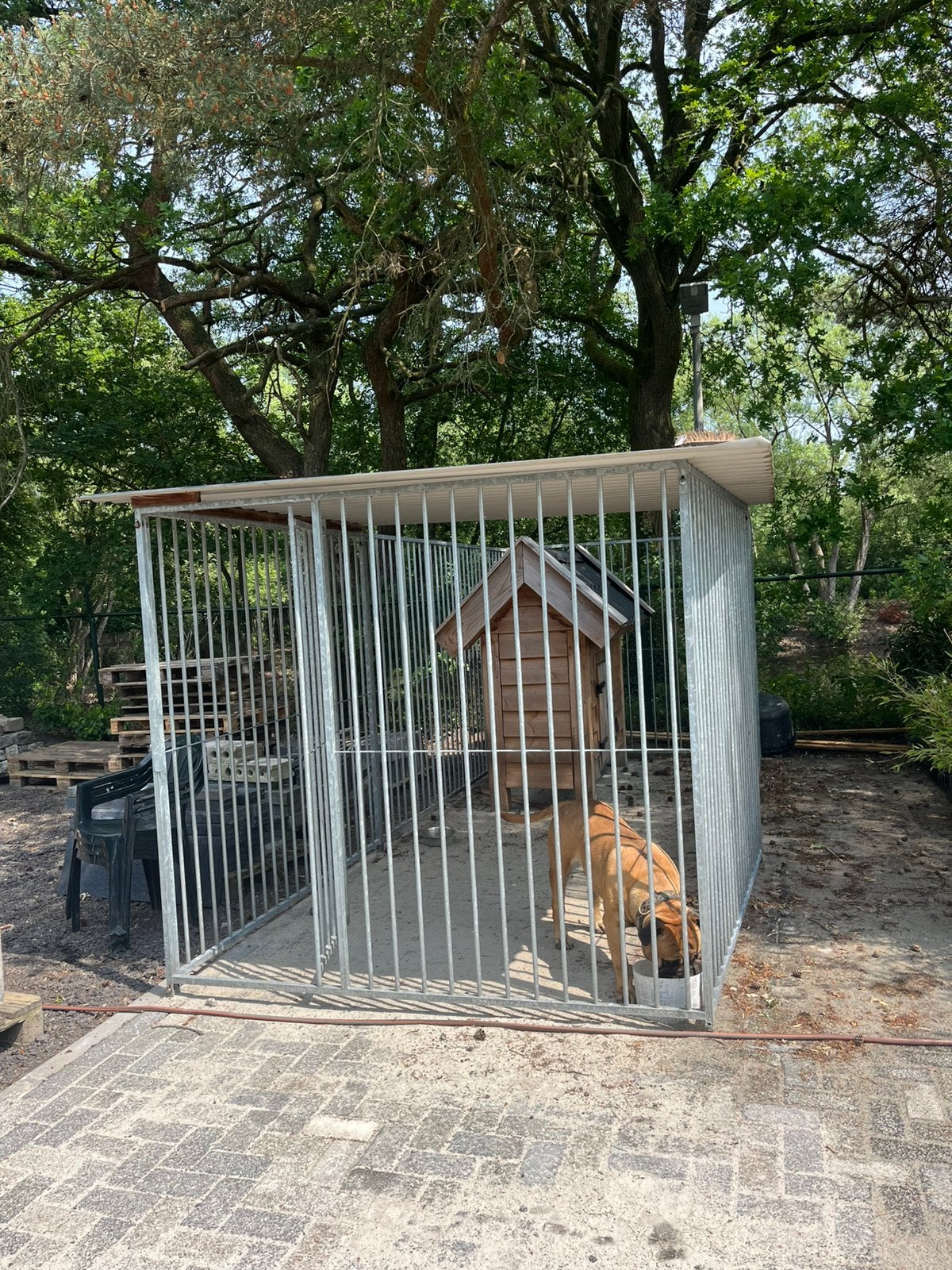 Honden kennel, Ophalen, Zo goed als nieuw, 110 cm of meer, 100 cm of meer