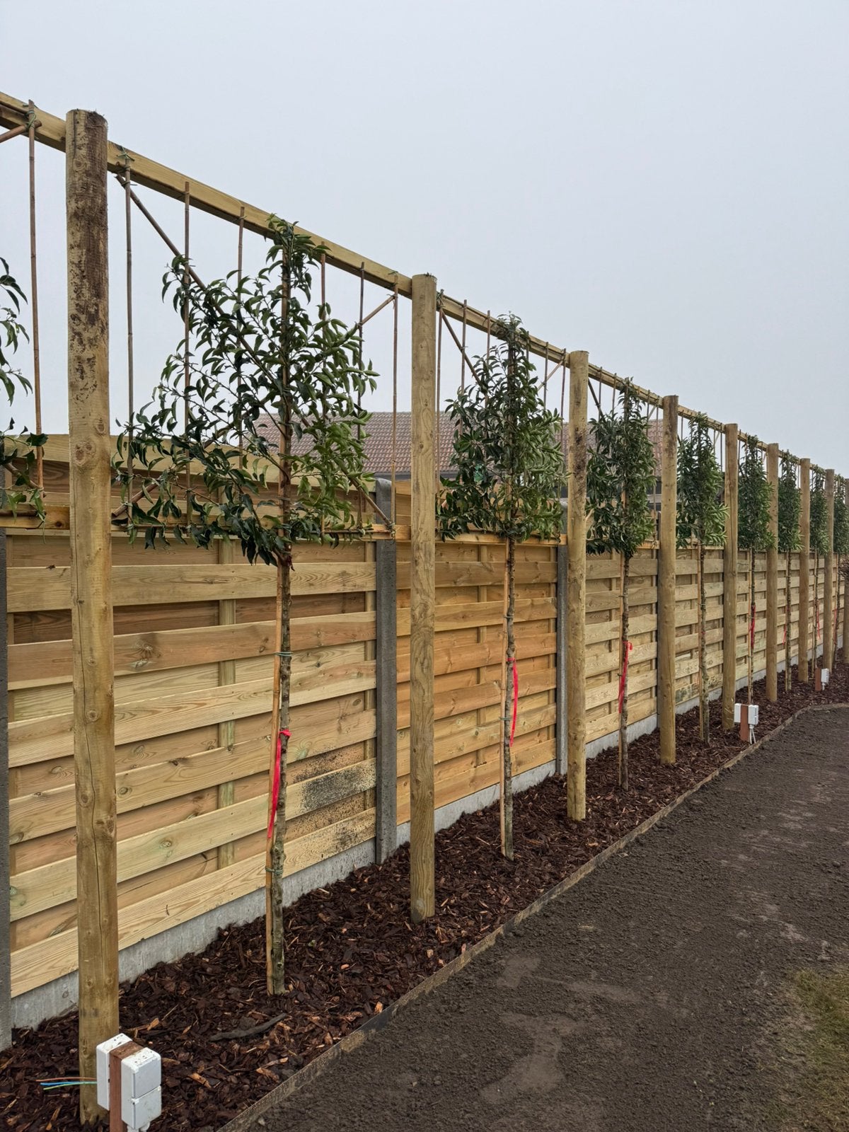 Hout beton schutting, Tuin en Terras, Ophalen, 1 tot 2 meter, 6 meter of meer, Nieuw