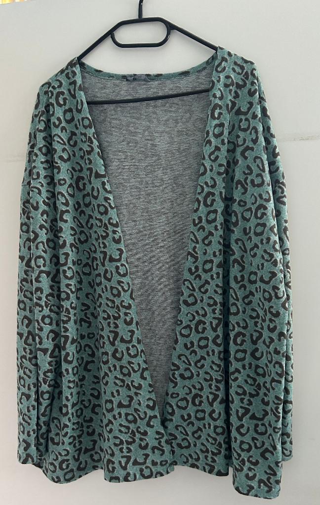 Zeeman vest zeegroen met grijs maat 46, Zeeman, Maat 46/48 (XL) of groter, Ophalen of Verzenden, Zo goed als nieuw