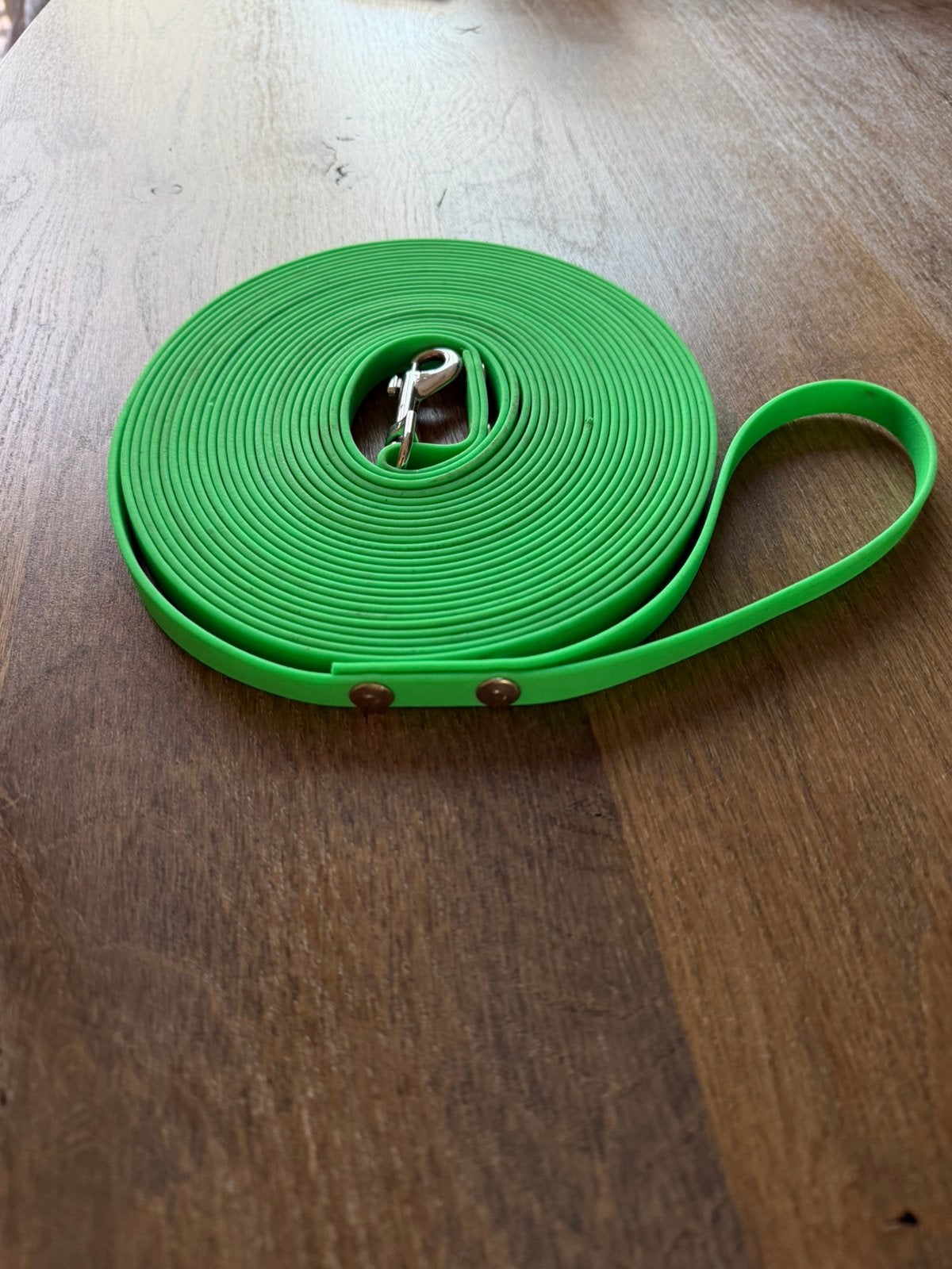 Trainings riem voor honden 10M, Ophalen of Verzenden, Gebruikt