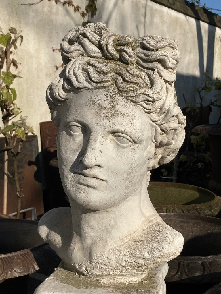 Griekse God Apollo van Belvedère, Ophalen, Buste