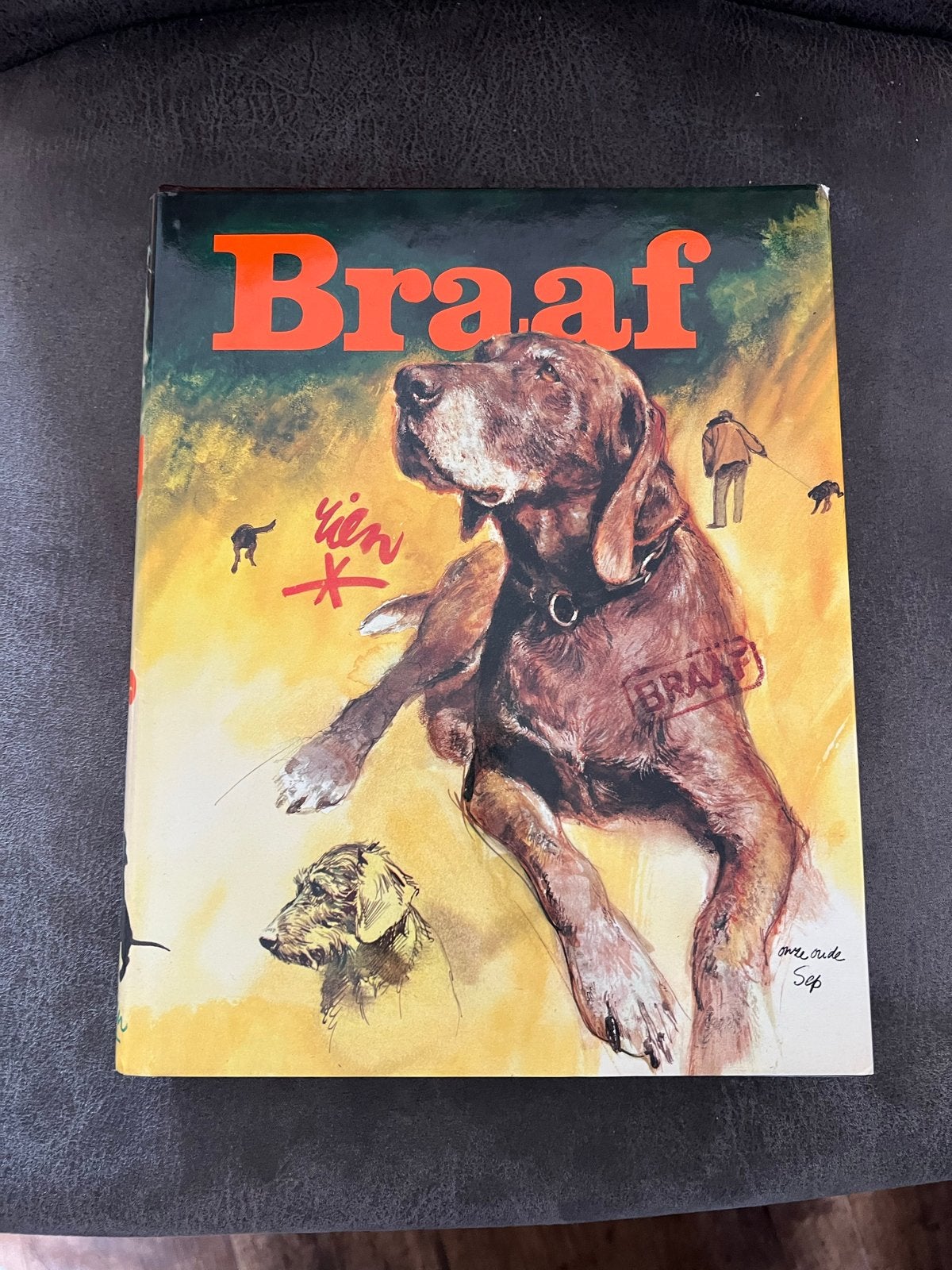 Braaf - Een boek over honden, Ophalen of Verzenden, Gelezen, Honden