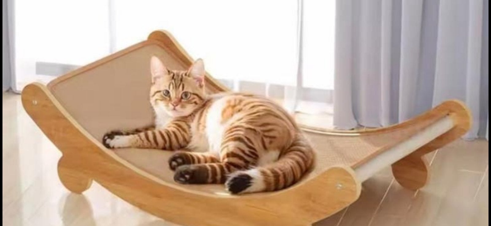 Liefdevolle katten oppas vakantie aangeboden, Ophalen of Verzenden, Zo goed als nieuw