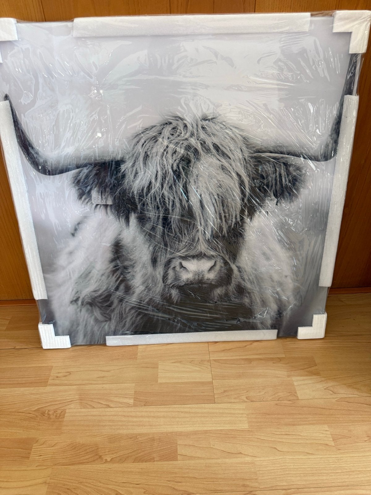 Glazen schilderij met buffel - Nieuw in doos, Nieuw, Ophalen of Verzenden, Schilderij, 75 tot 100 cm