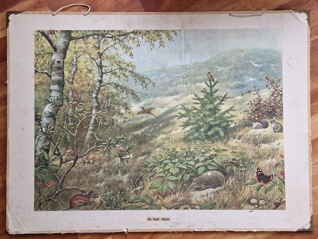In het duin / M.A. Koekkoek, Ophalen, Geschiedenis