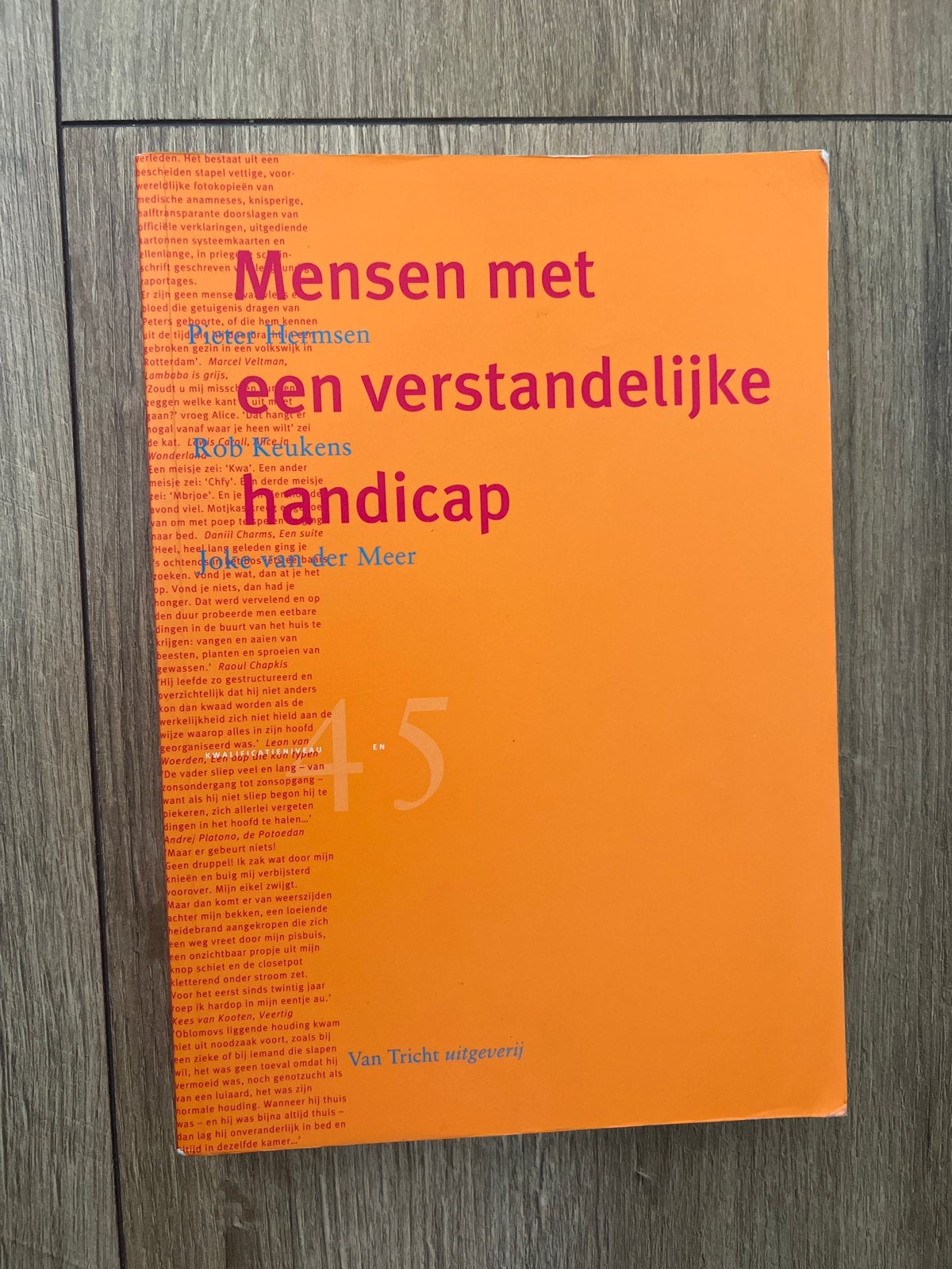 Mensen met een verstandelijke handicap - Studieboek, Ophalen of Verzenden, Gamma, Gelezen, MBO