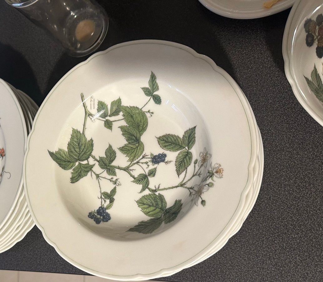 A Seltmann Weiden Marie-Luise-Waldbeere porseleinen servies, Nieuw, Ophalen of Verzenden, Overige stijlen, Porselein
