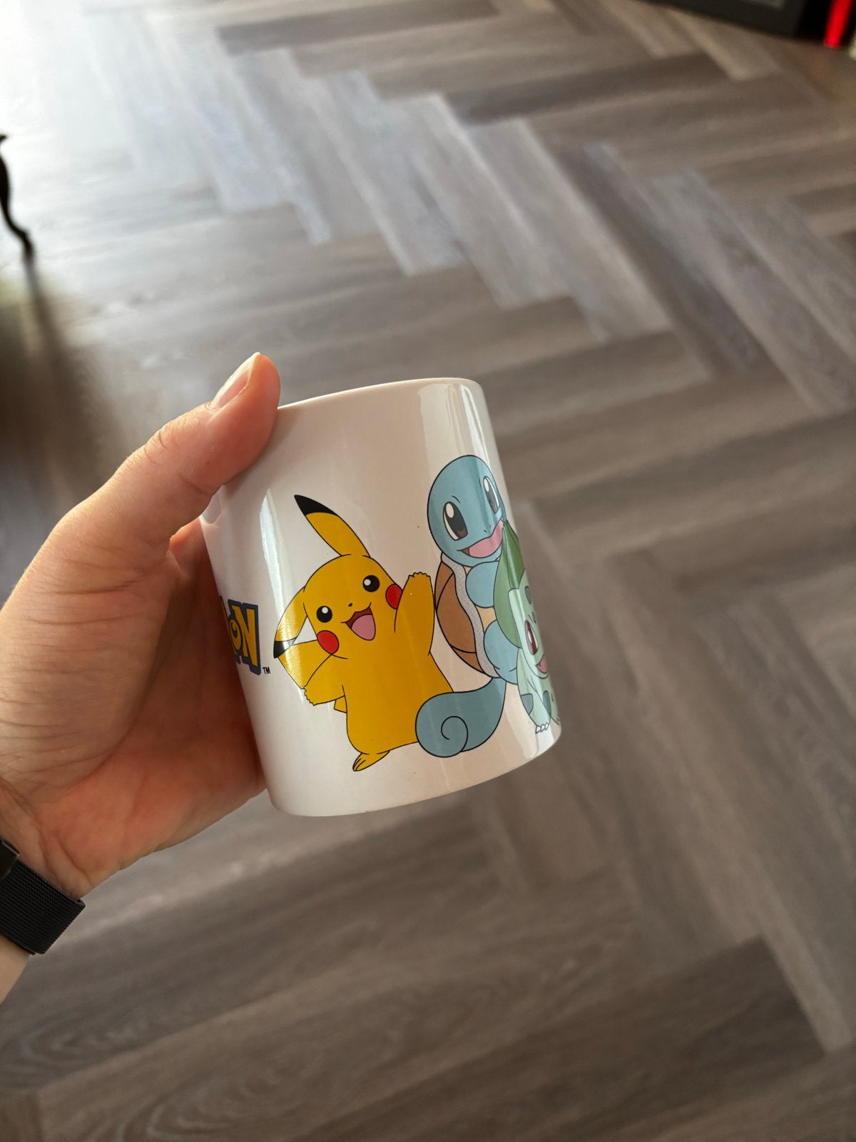 Pokémon mok met Pikachu, Bulbasaur, Squirtle en Charmander, Ophalen, Gebruikt, Overige typen