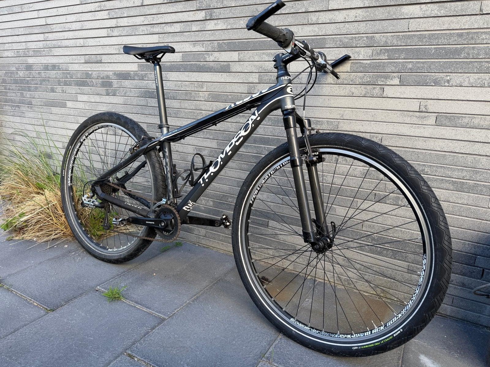 Thompson Mountainbike 29”, Fietsen en Brommers, Gebruikt, Hardtail, Velgrem, Ophalen