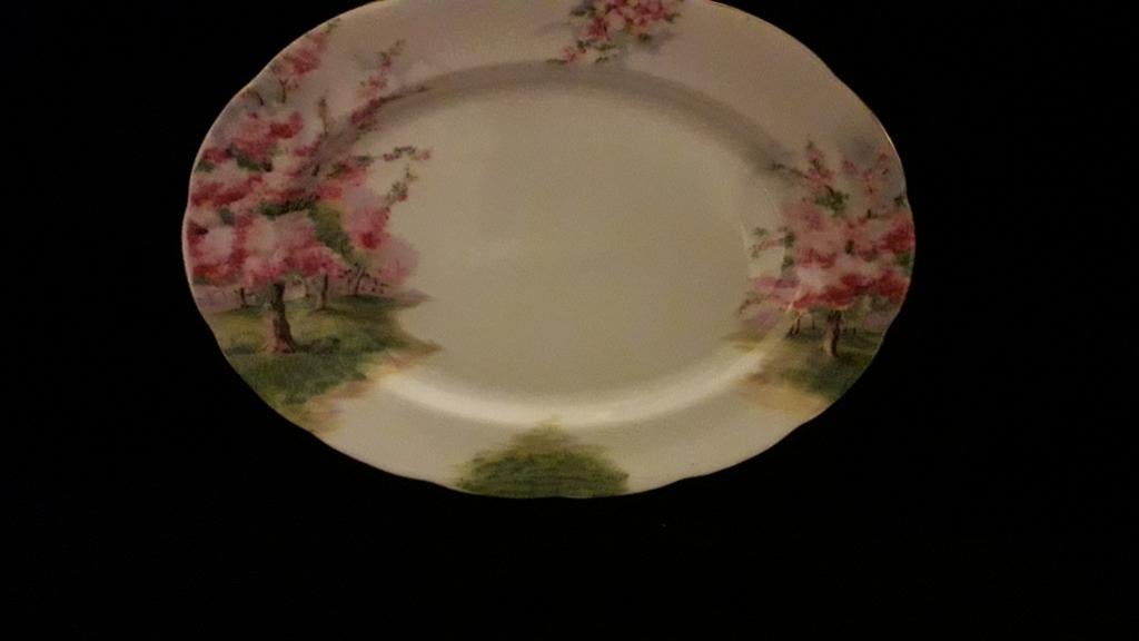 Royal  Albert Blossem Time delen  per stuk te koop., Ophalen of Verzenden, Zo goed als nieuw, Zilver, Overige materialen