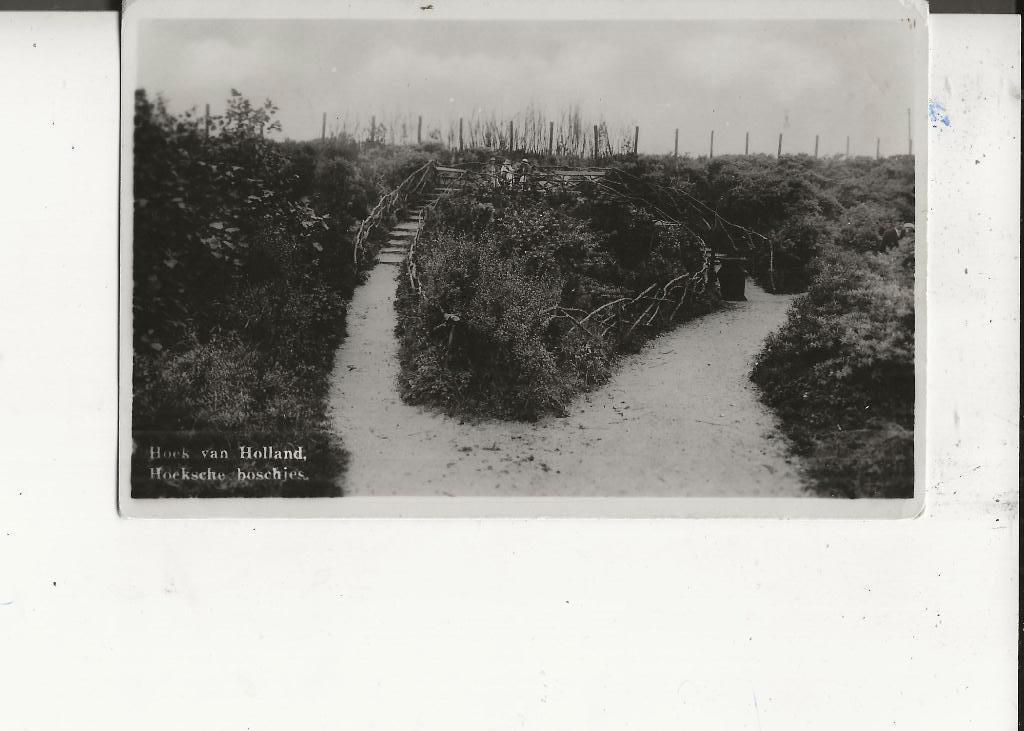 Hoek van Holland Hoeksche Boschjes 26-8-1935, Ophalen of Verzenden, 1920 tot 1940, Gelopen, Zuid-Holland