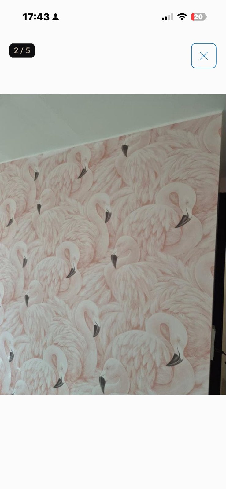 Nieuwe rol Ashford & Sons flamingo behang (in plastic), Ophalen of Verzenden, Roze, Dieren, Overige merken