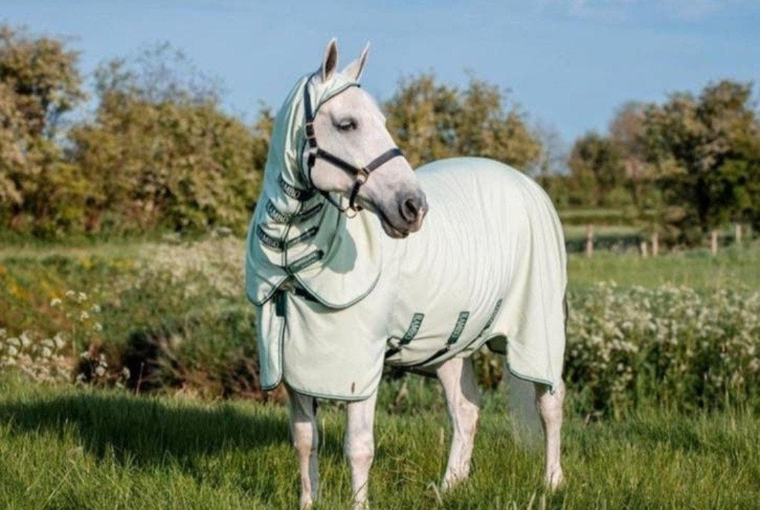 Nieuw Rambo Hoody XL Eczeemdeken / Vliegendeken 7'6, Dieren en Toebehoren, Paarden en Pony's | Dekens en Dekjes, 0 g, V-sluiting