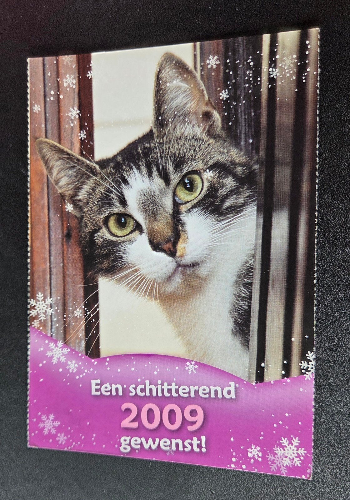 Een schitterend 2009 gewenst! (Kat), Verzamelen, Verzenden, 1980 tot heden, Ongelopen, Hond of Kat