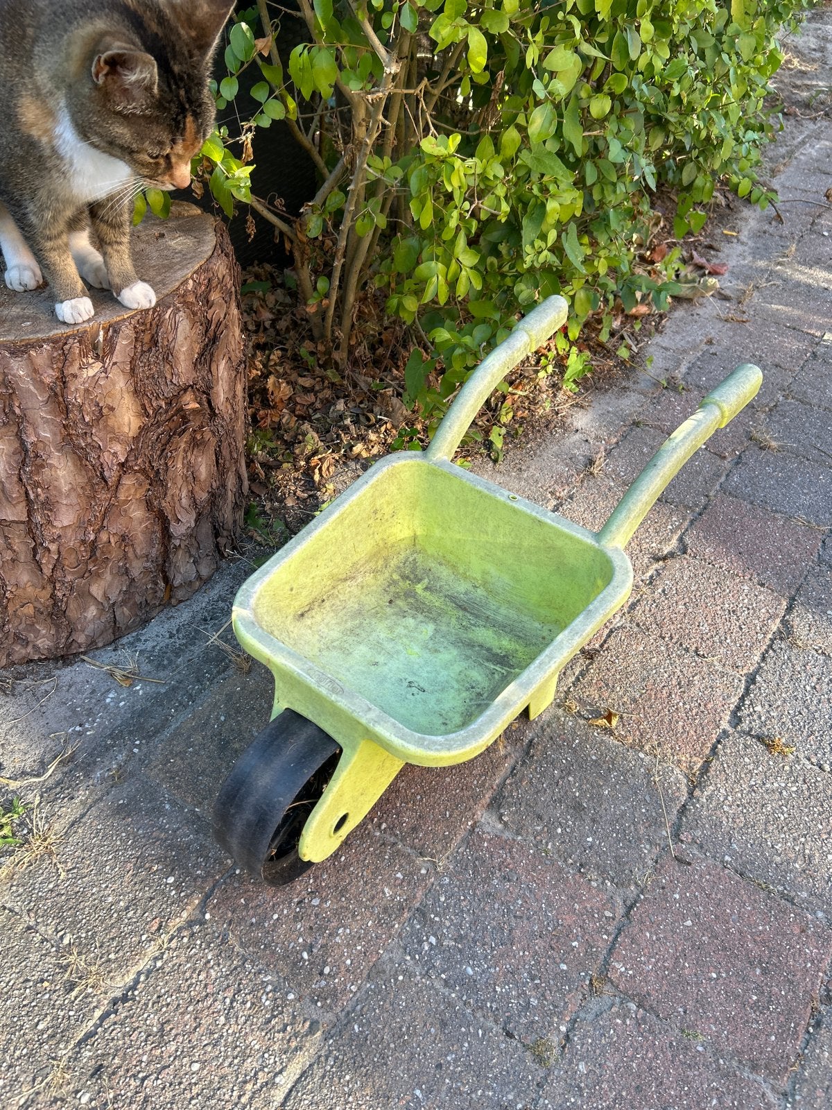 Groene kinder kruiwagen voor tuin en klusjes, Ophalen of Verzenden, Gebruikt
