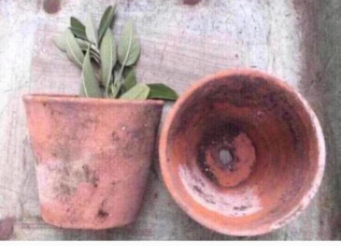 Oud Hollandse terracotta bloempotten kwaliteit authentiek, Ophalen, Gebruikt, Rond, Balkon
