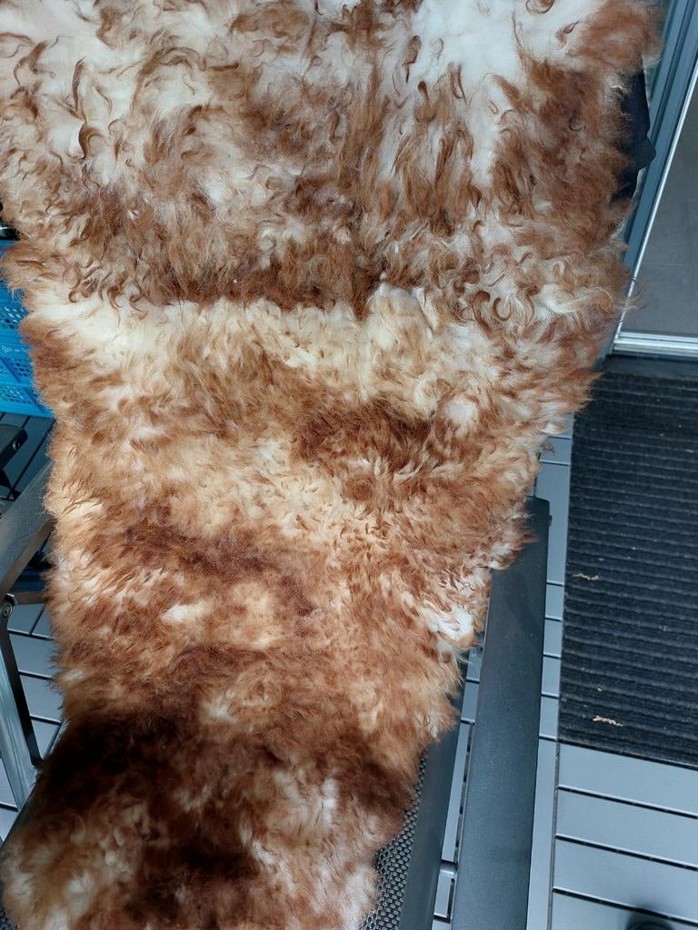 Schapenvacht met hoofdsteunhouder en bevestigingsbanden, Caravans en Kamperen, Ophalen of Verzenden, Gebruikt