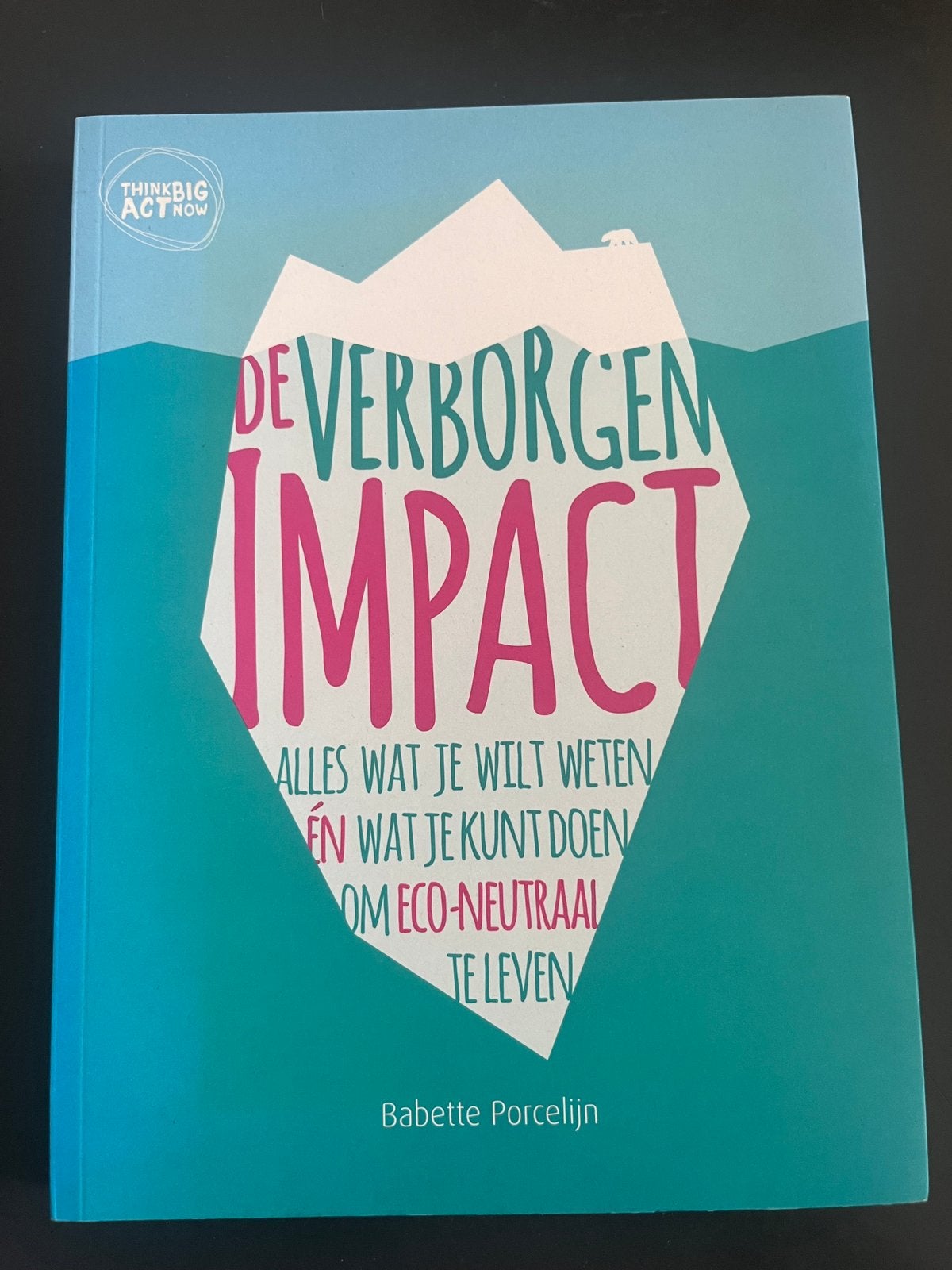 Babette Porcelijn - De verborgen impact, Ophalen of Verzenden, Zo goed als nieuw, Babette Porcelijn