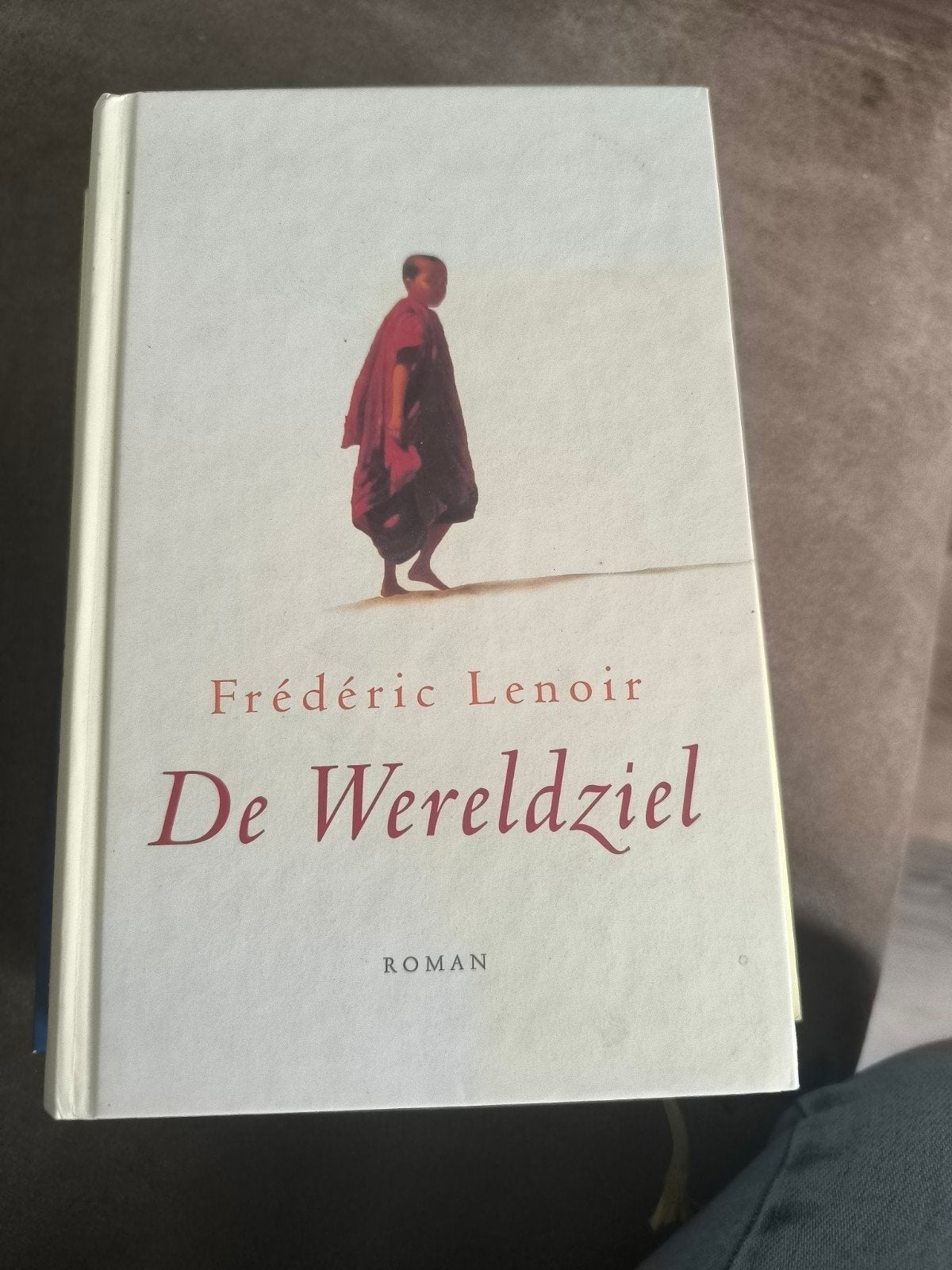 De Wereldziel - Frédéric Lenoir (Roman), Ophalen of Verzenden, Zo goed als nieuw, Frédéric Lenoir, Nederland